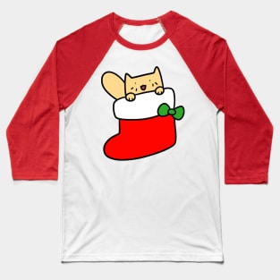 Yellow Cat Inside Stocking Baseball T-Shirt